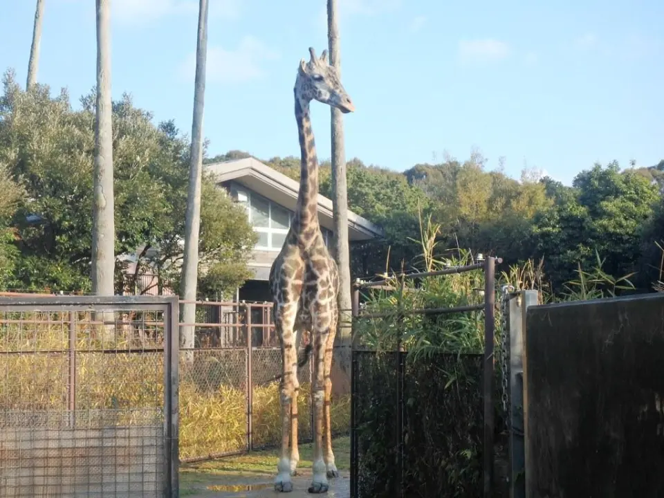 冬の寒風もなんのその