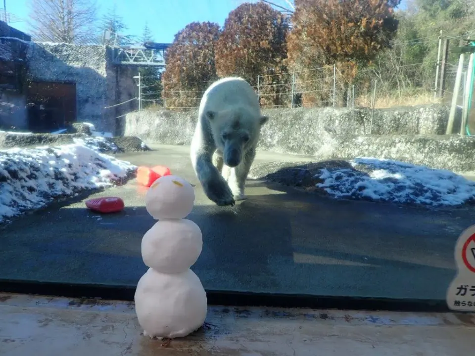 雪だるまとポロロ