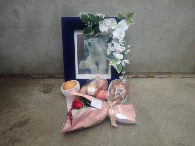 ĺ��������