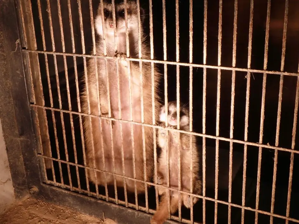 ライトの前で温まる赤ちゃん