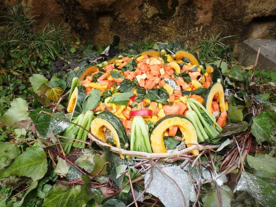 重さ15キロの野菜ケーキ