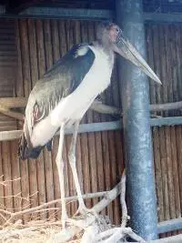 モノクロ