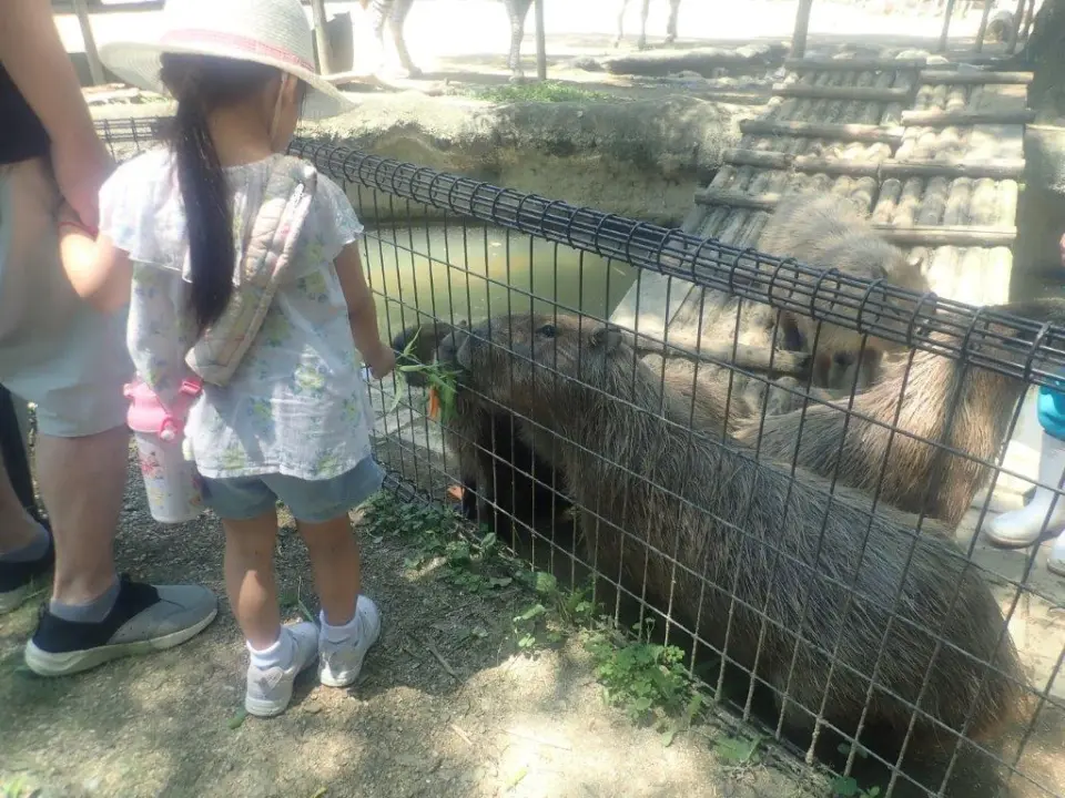 笹をあげるお客様