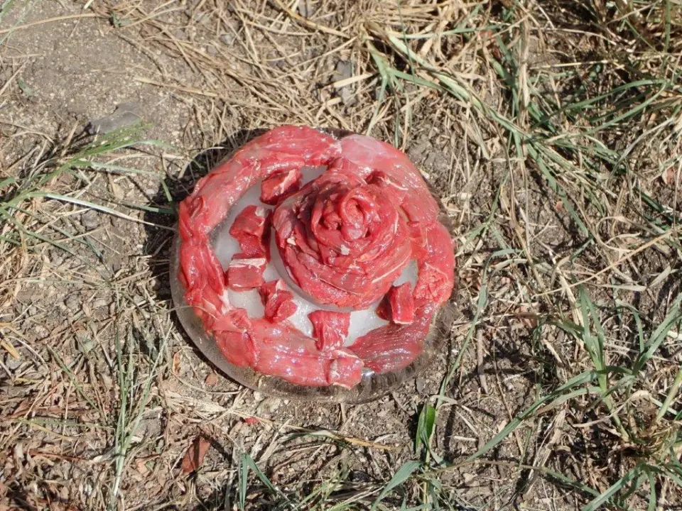 職員特製ケーキ