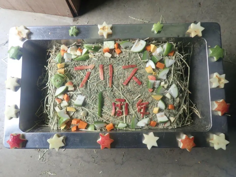 職員特製ケーキ