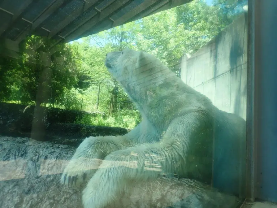 まったりするポロロ①