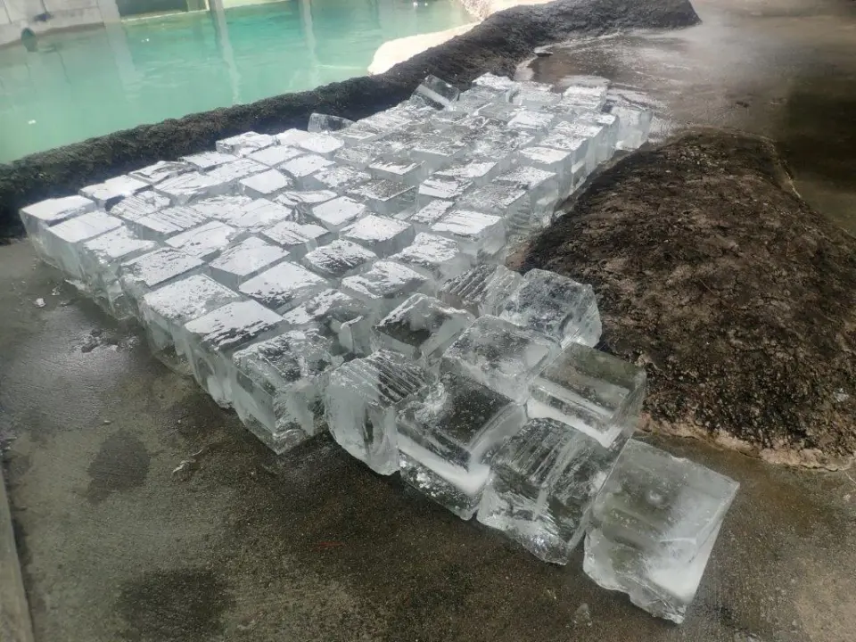 頂いた氷