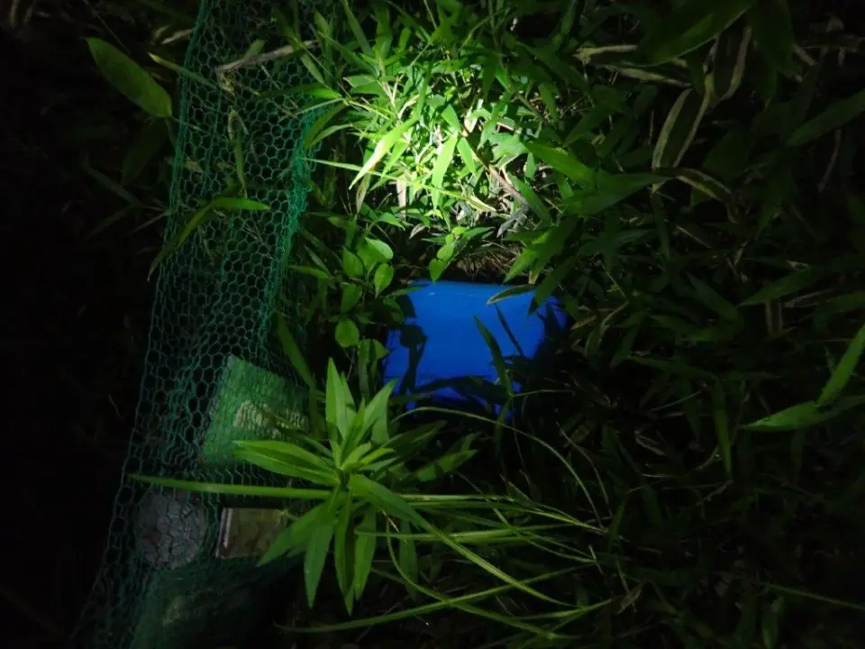 植え込みまで飛んだポリタンク