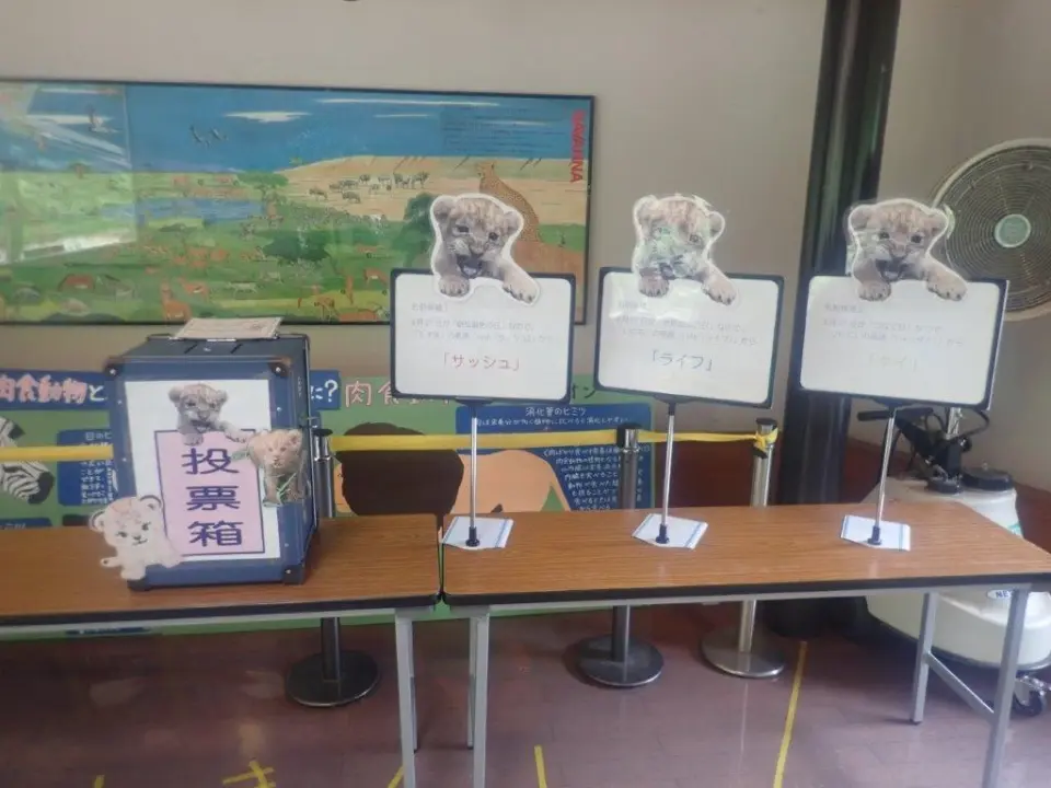 投票箱と3候補名