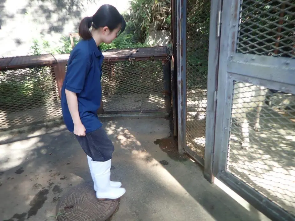 興味津々のユウキと実習生