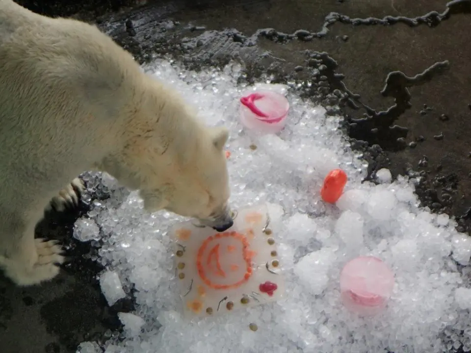おやつを食べるポロロ