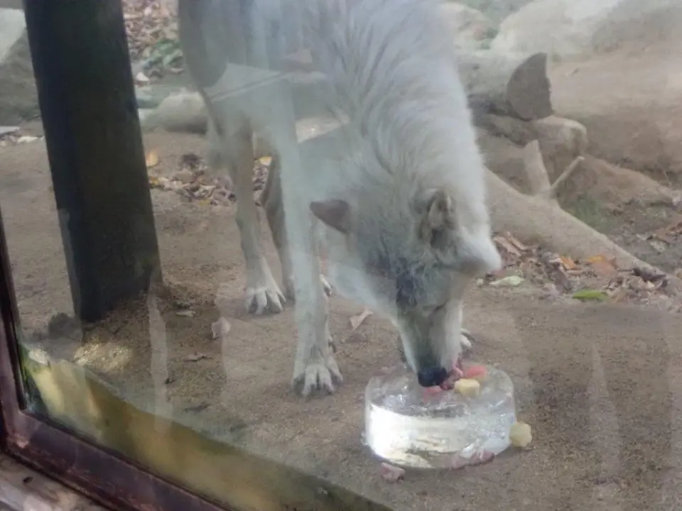 ケーキを食べるユウキ