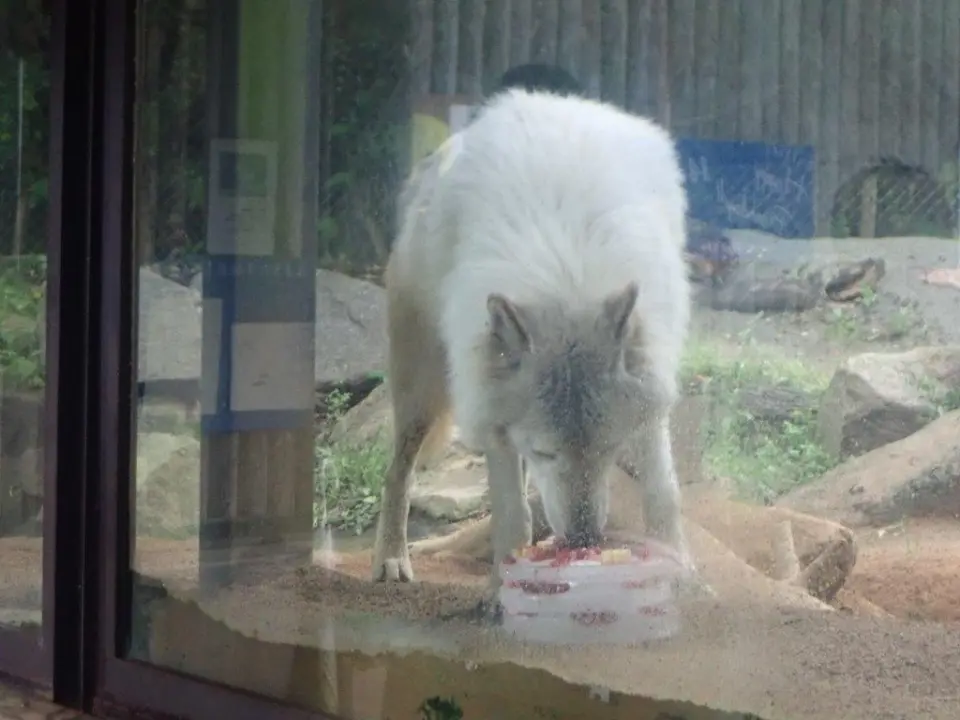 ケーキを食べるユウキ