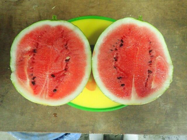 Ⱥݥ
