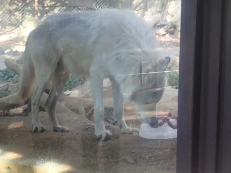 ケーキを食べるユウキ