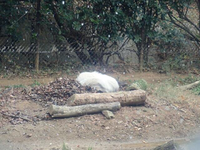 �����Υ楦��