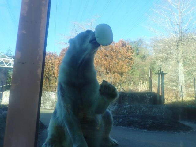 ���򲡤��դ���ݥ���