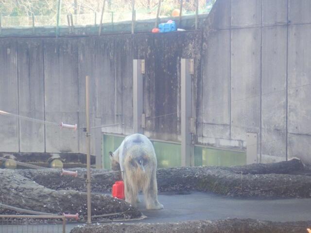 ����į��ʤ��餪��Ĥ򿩤٤�ݥ���