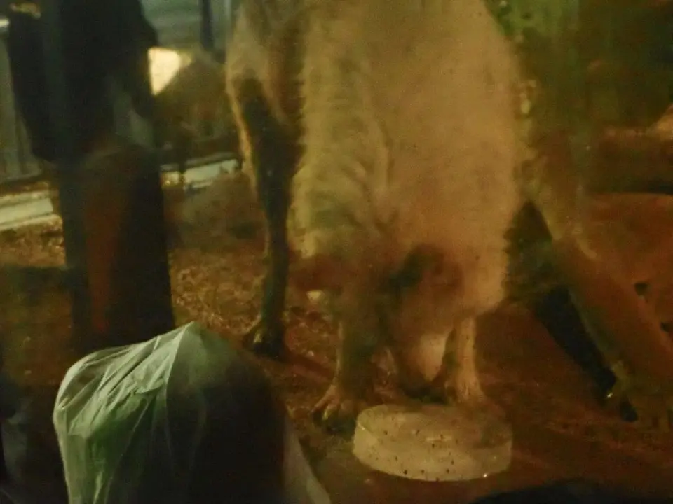 おやつを食べるユウキ