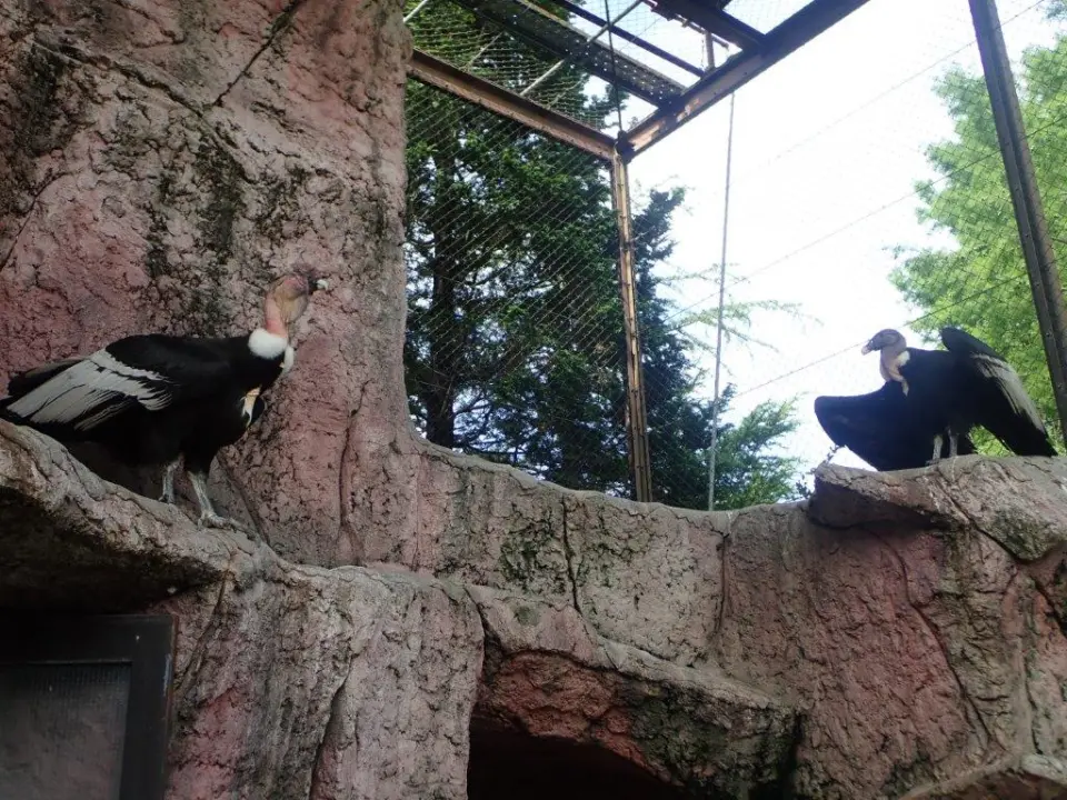 メリーとテツ
