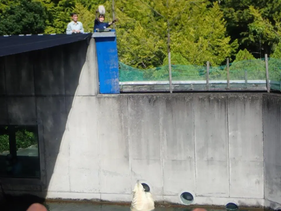 果物入りの氷を投げている実習生