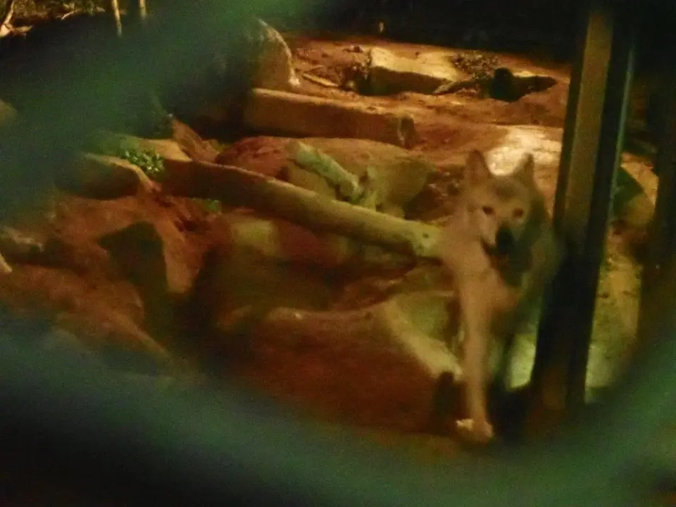 駆け回るユウキ