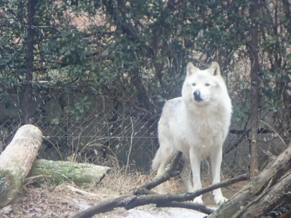 雪とユウキ