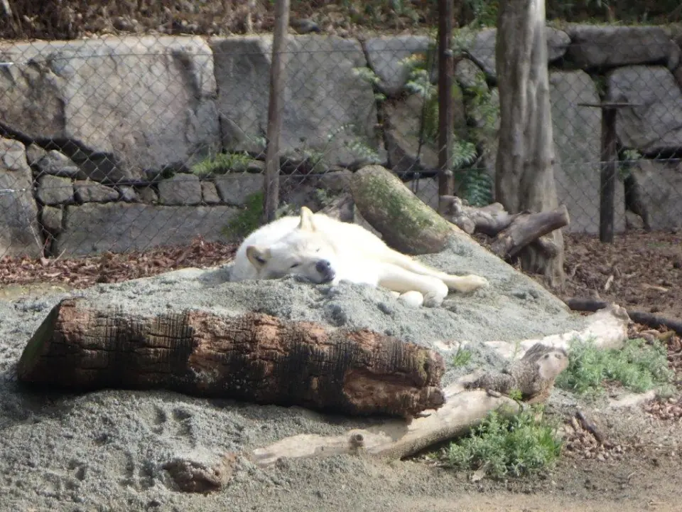 気持ち良さそうに寝るユウキ①