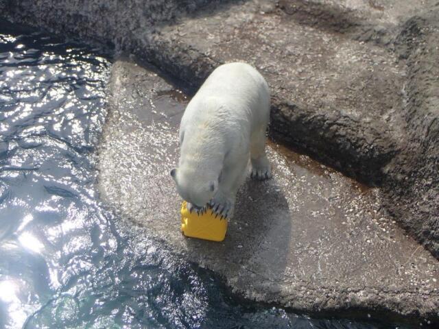 δĤ֤ݥ