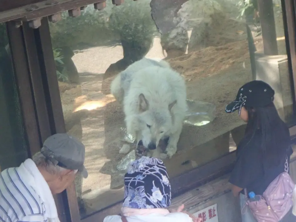 氷をかじるユウキ