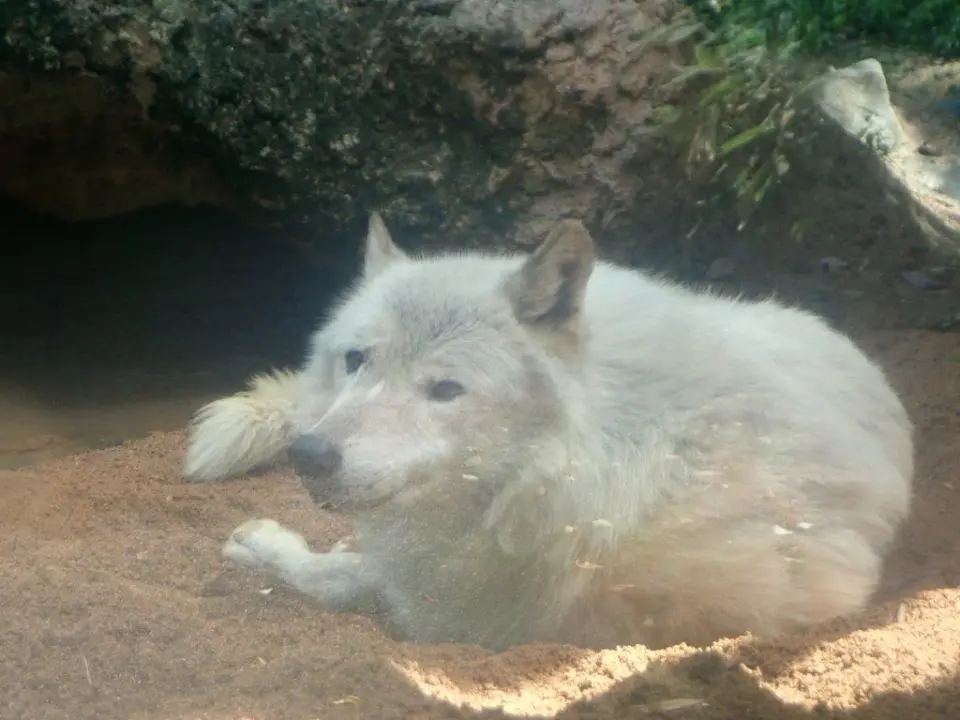 のんびりするユウキ