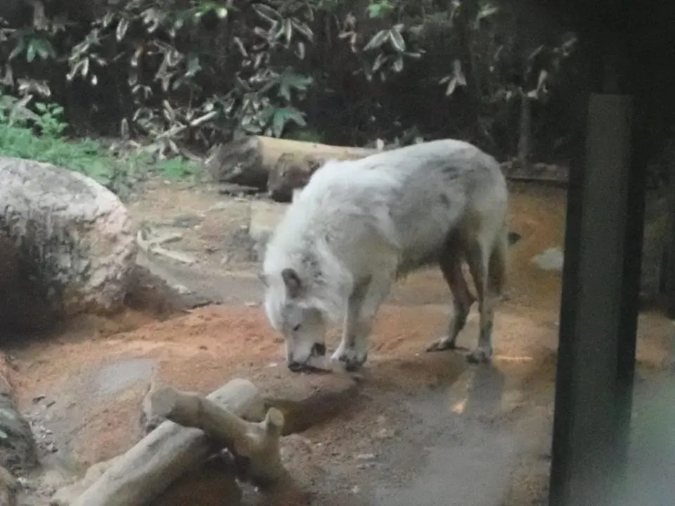 おやつを食べるユウキ