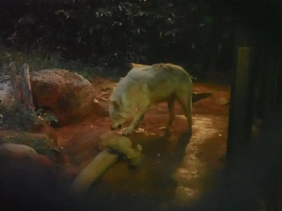 おやつを食べるユウキ