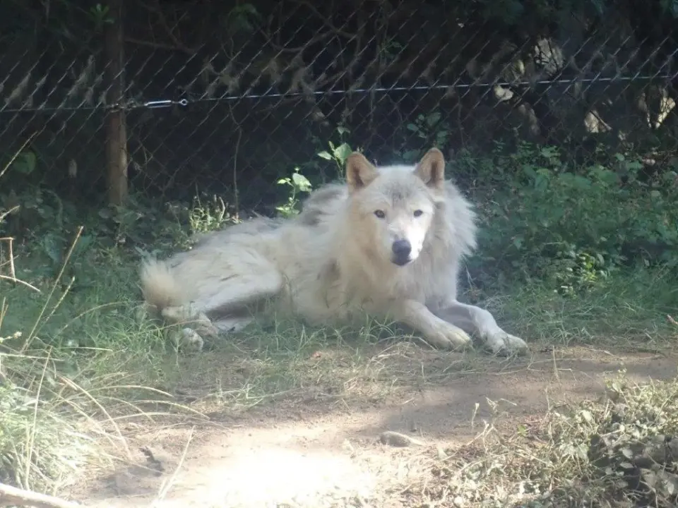 カメラ目線のユウキ