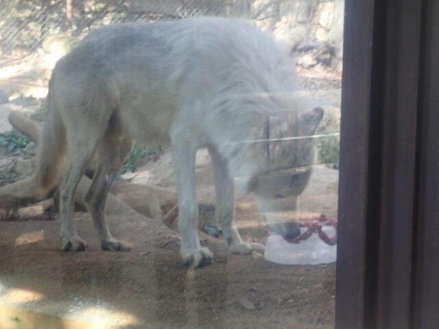 �������򿩤٤�楦��