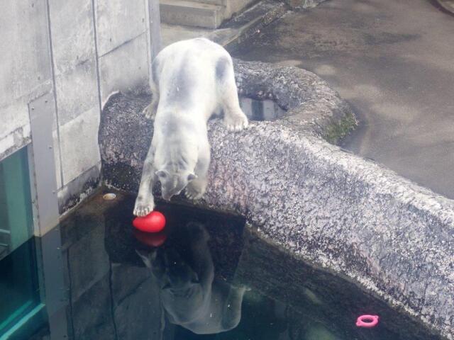 �ס�������餺�˴�����ݥ���