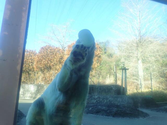 ������Ȥ��ʤ��褦�ˤ���ݥ���