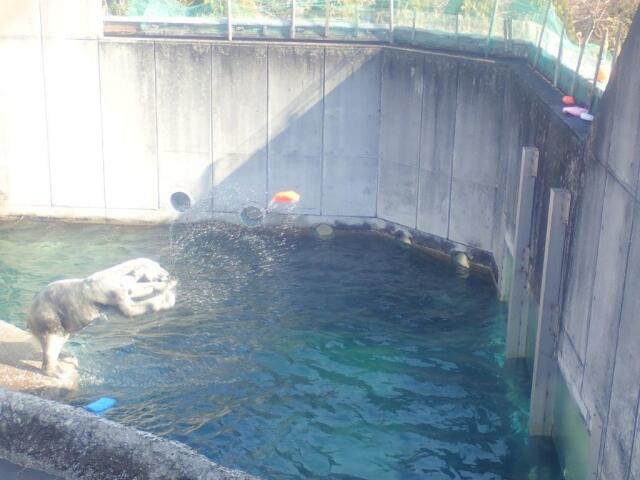 �������ä��ꤲ��ݥ���