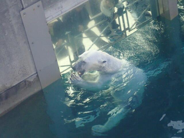 ��󥴤򿩤٤�ݥ���