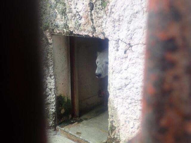 ���ɤꤹ��ݥ�����