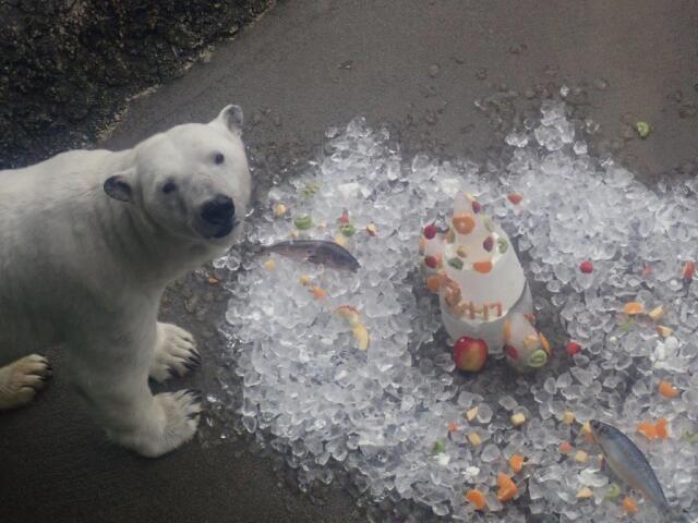 ����������Υݥ���