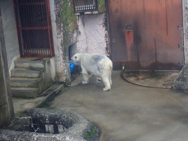 �����������ݥ���