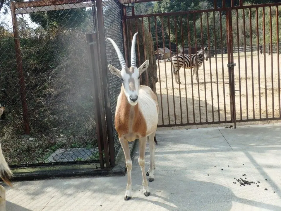 1歳