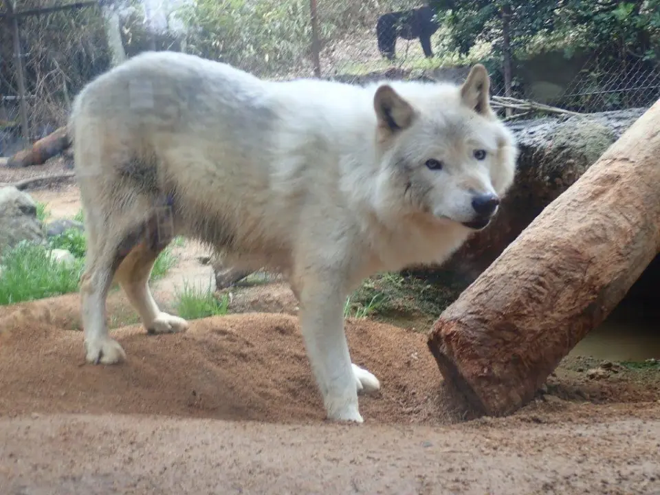 カメラ目線のユウキ