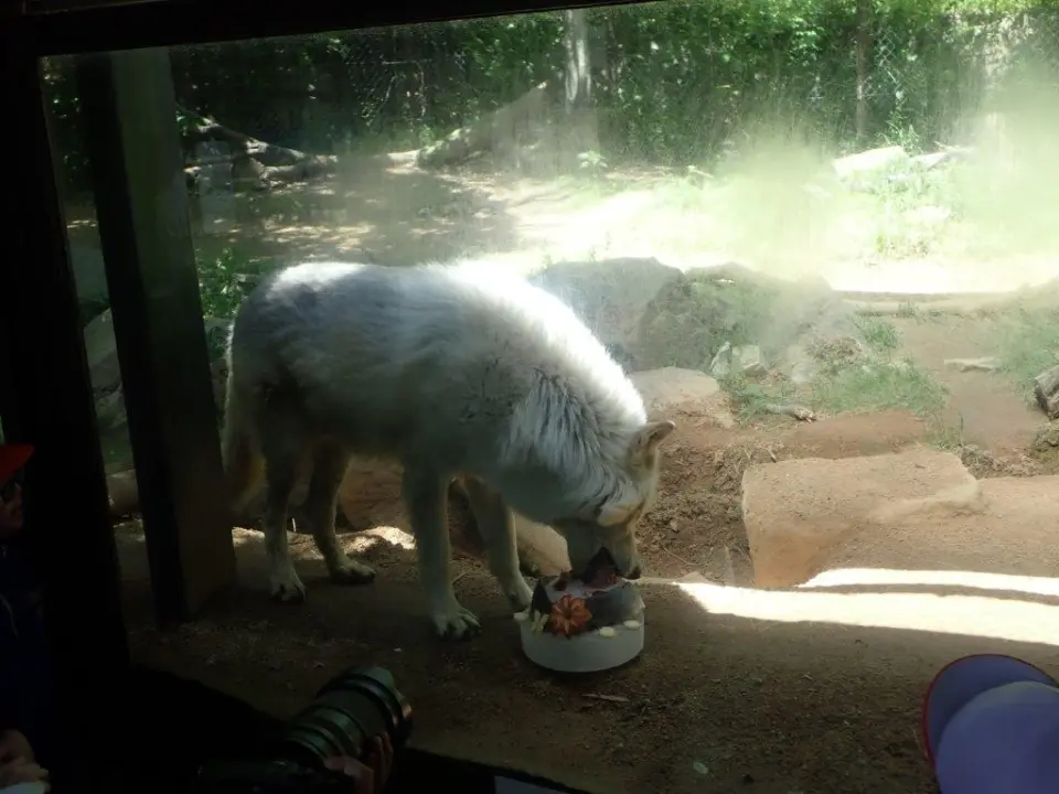 ケーキを食べるユウキ