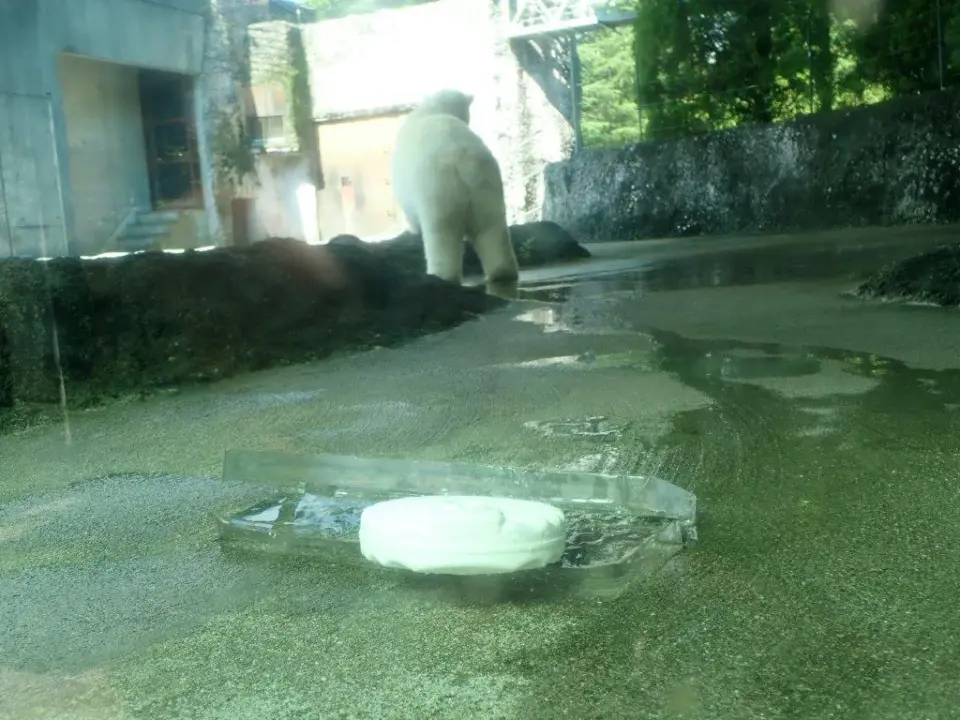 氷バーガー
