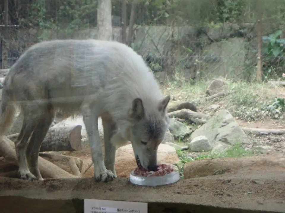 おやつを食べるユウキ