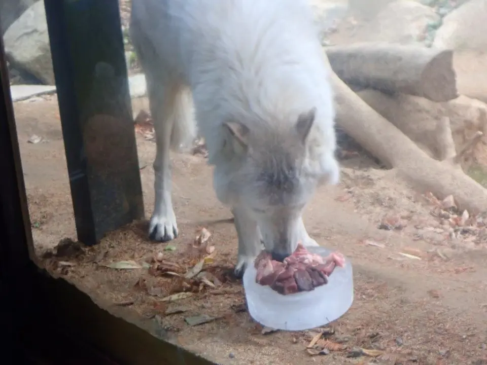 ケーキを食べるユウキ