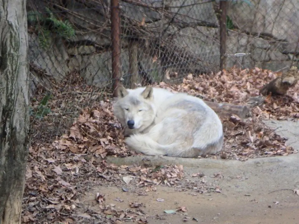 のんびりするユウキ