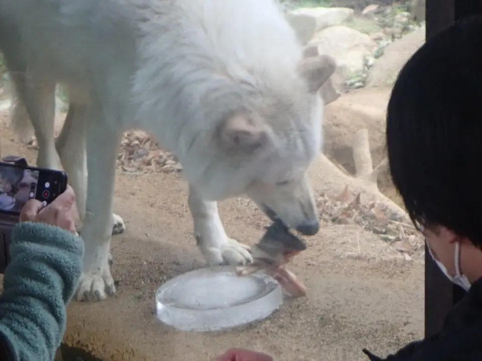 おやつを食べるユウキ